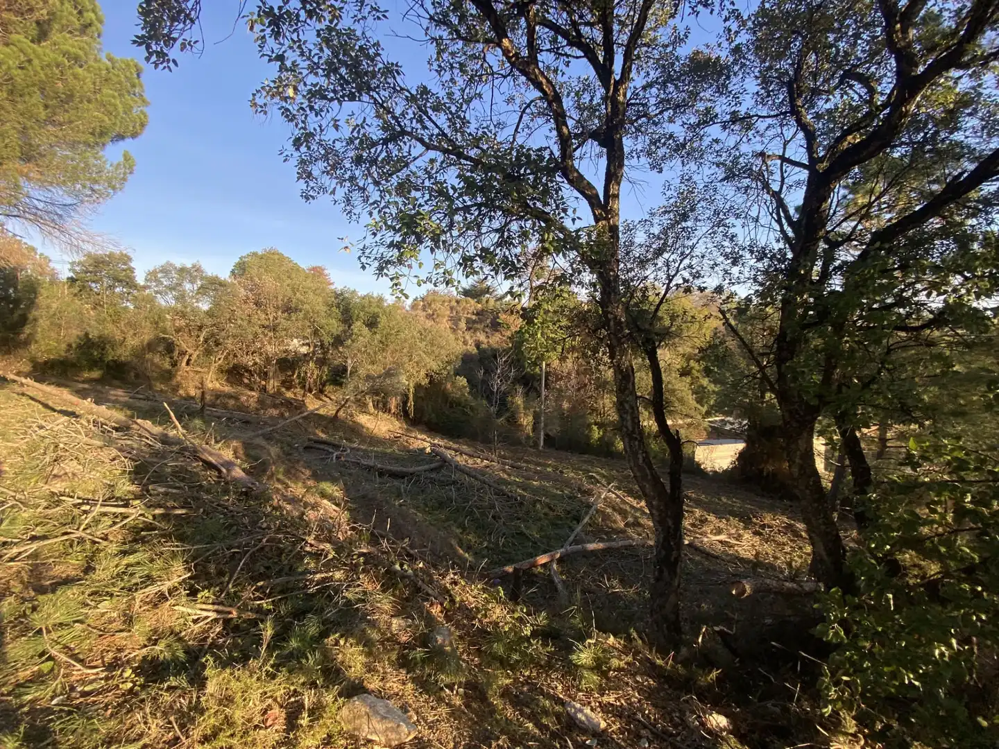 Terreno residencial en venta en Carrer Pi 7, imagen 17