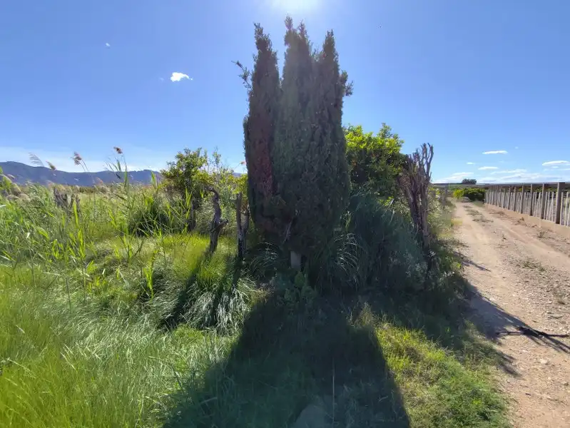 Terrain rustique à vendre à El Marenyet, imagen 6