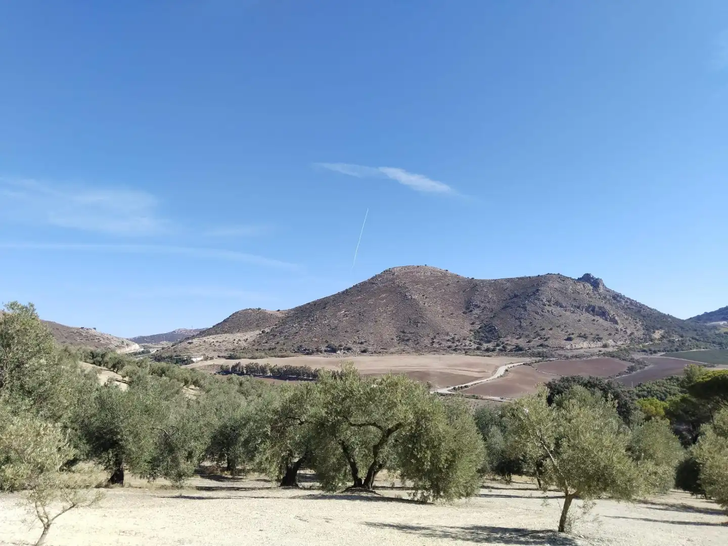 Terrenys i solars en venda a Zona de la Vega, imagen 2