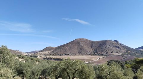 SE VENDE FINCA RÚSTICA DE OLIVAR EN LA COMARCA DE ANTEQUERA!, imatge 2