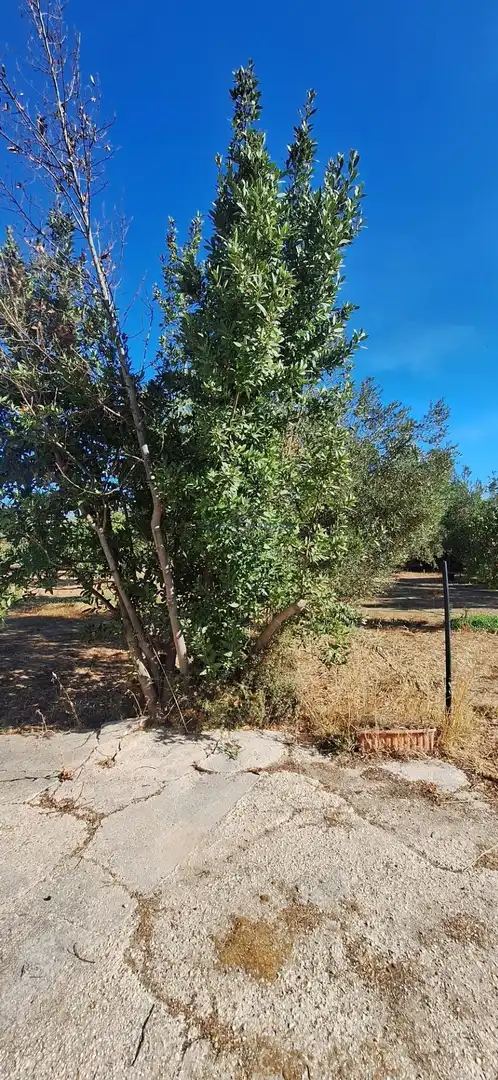 Country homes for sale in Gibraleón  with Storage room and Community pool