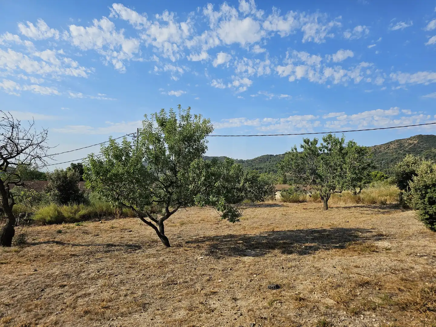 Terrain rustique à vendre à Alforja, imagen 4