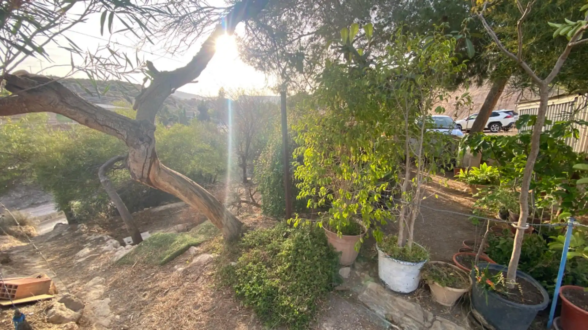 Casa rústica en venta en Totana, imagen 5