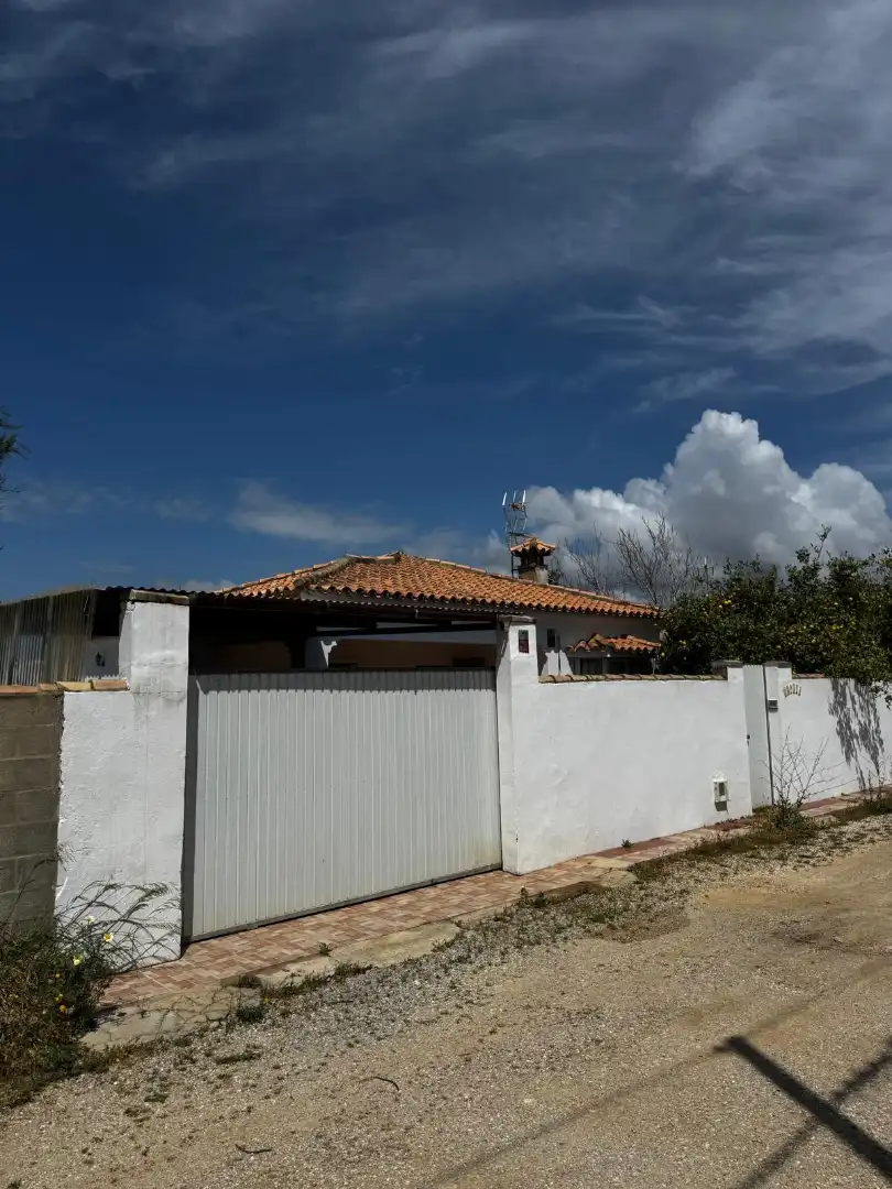 Exterior view of Houses for sale in Chiclana de la Frontera  with Private garden and Swimming Pool