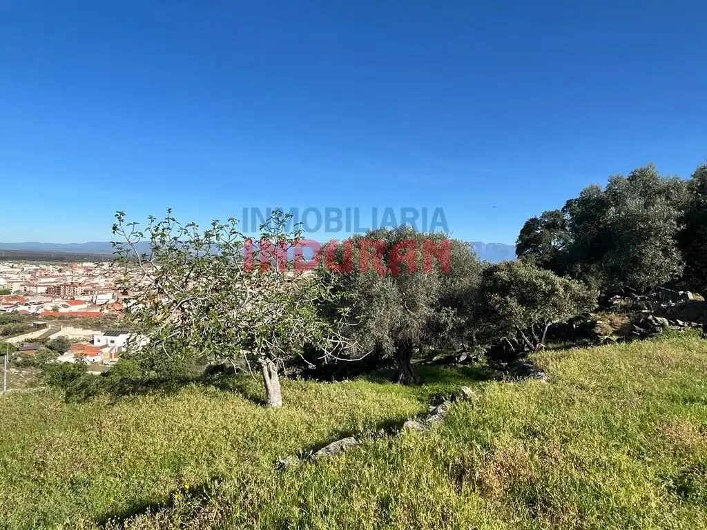 Finca rústica en venta en Navalmoral de la Mata