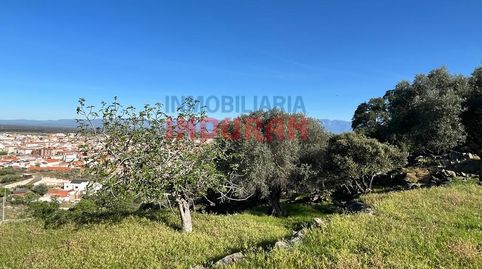 Foto 2 de Finca rústica en venta en Navalmoral de la Mata, Cáceres