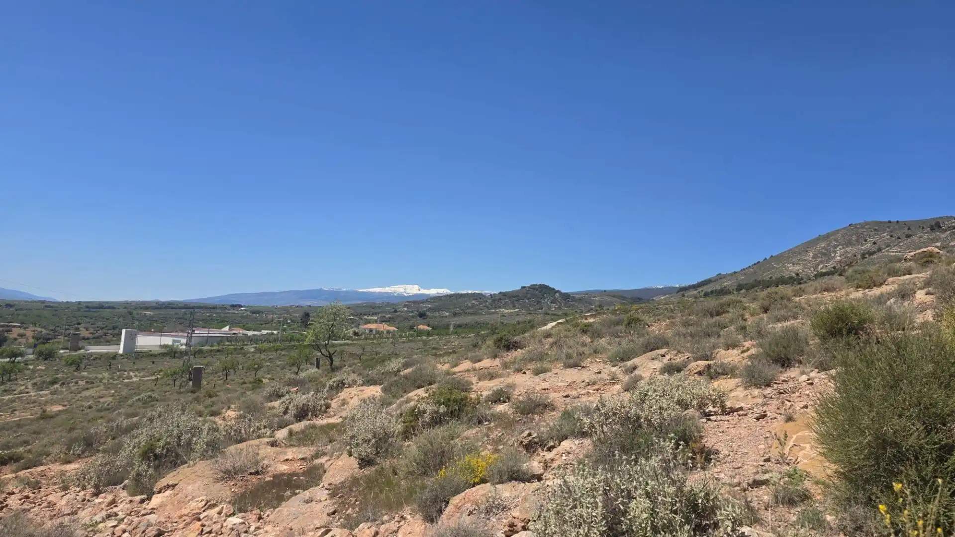 Country homes for sale in Laujar de Andarax