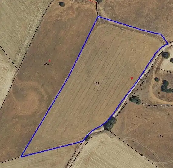 Rural land for sale in Calle FINCA MOLINA