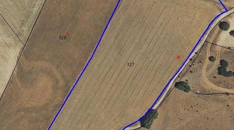 Terreno de 19.041 m2 para Proyecto Fotovoltaico o Actividad Agropecuaria