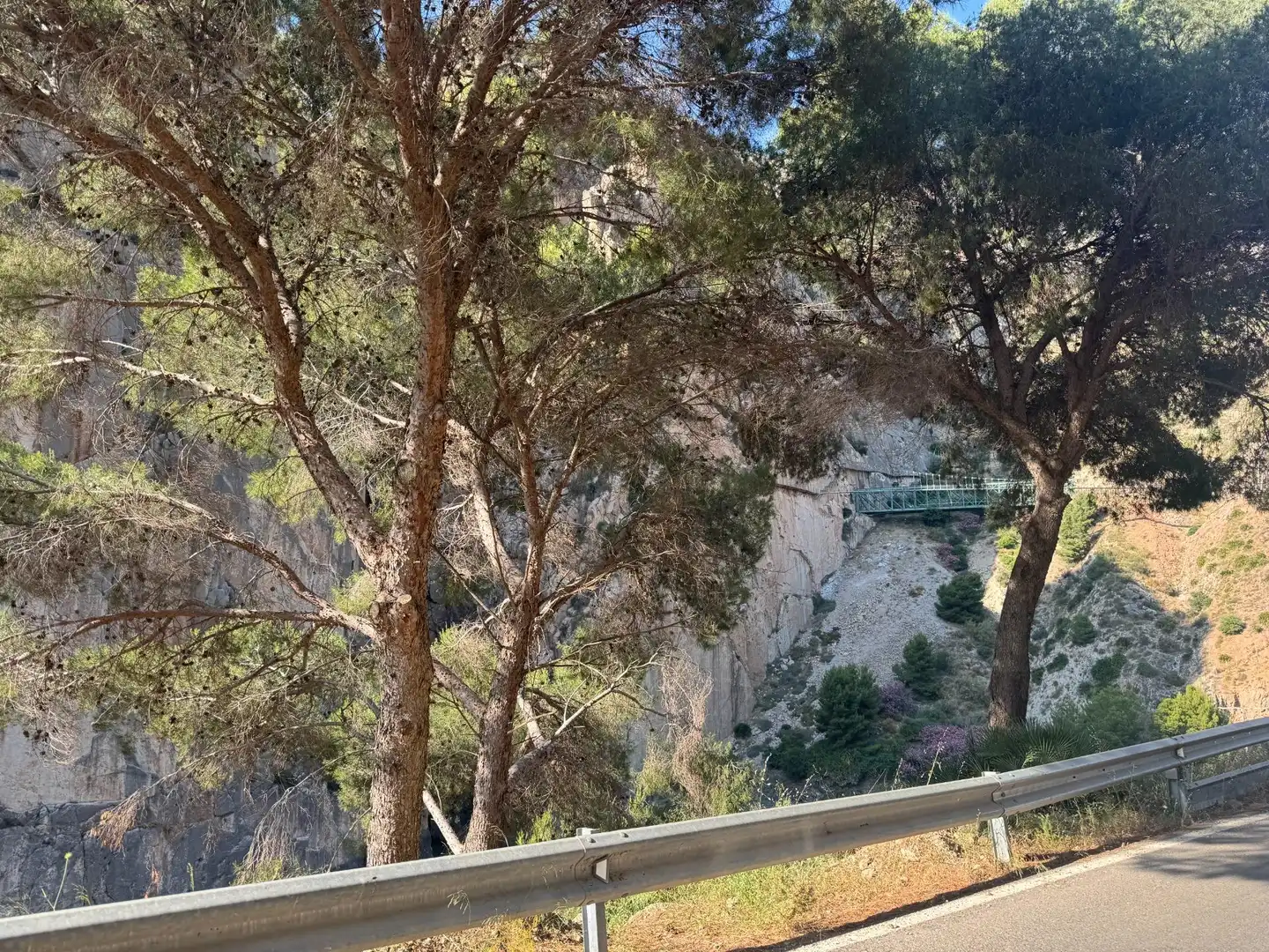 Vista exterior de Finca rústica en venta en Ardales con Jardín privado y Terraza