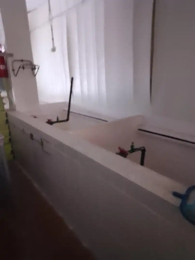 Casa en venta en Elche ciudad, imagen 4