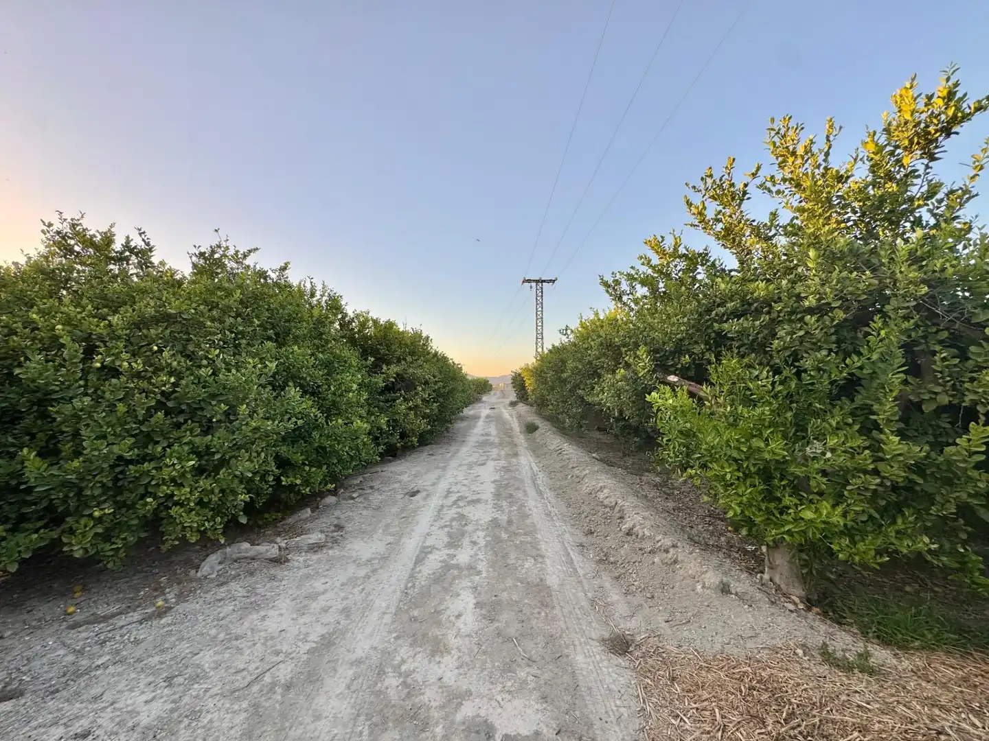 Exterior view of Land for sale in Orihuela