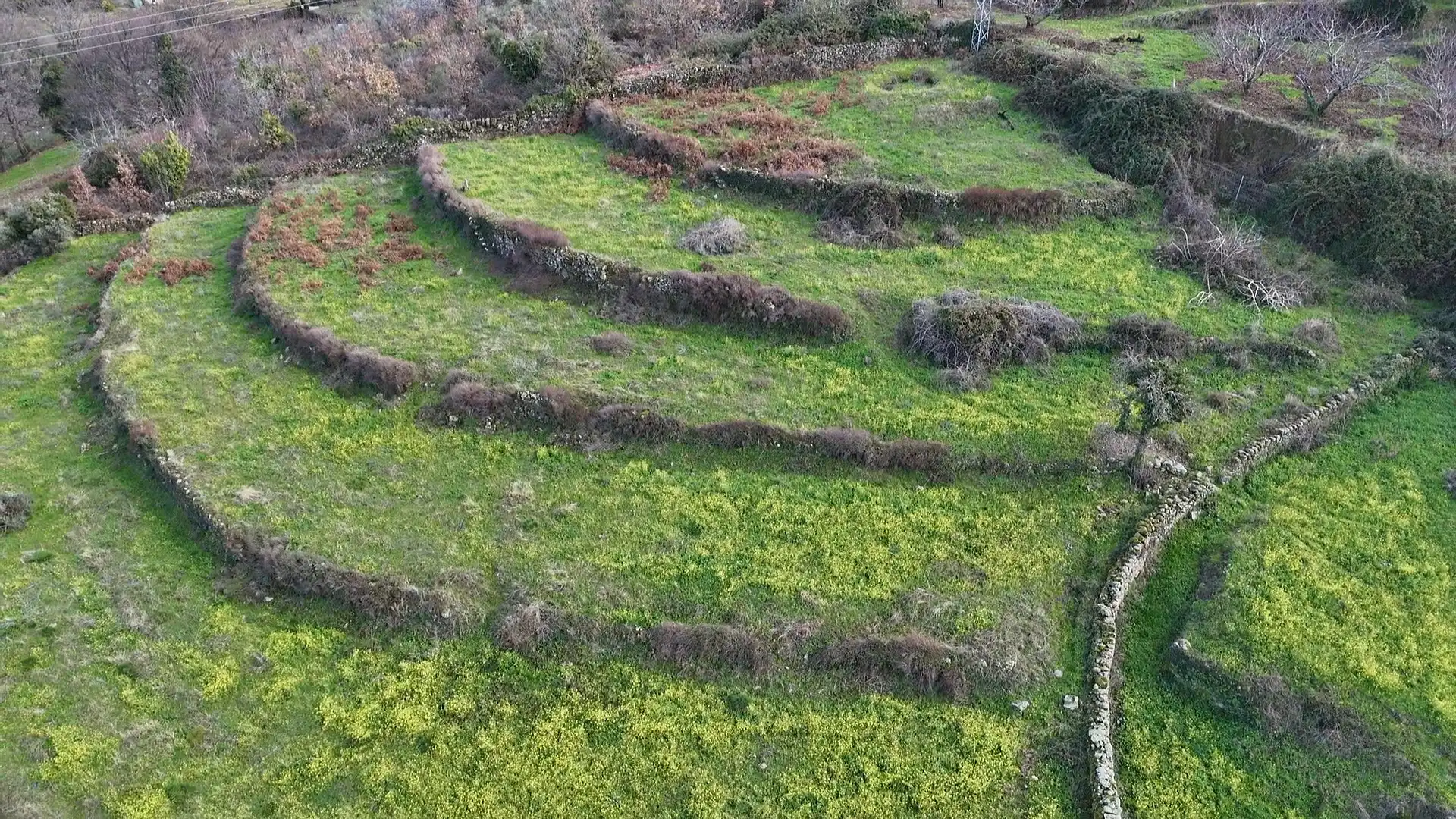 Land for sale in Casas del Castañar