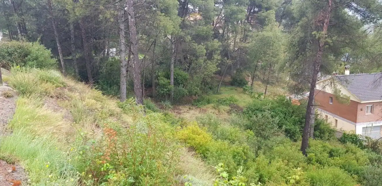 Residential land for sale in Penedès, imagen 28