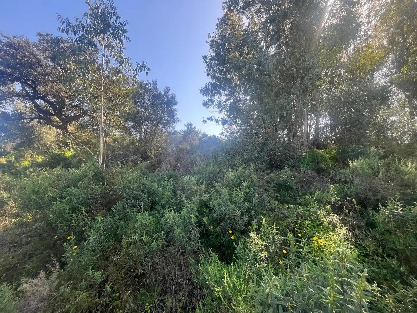 Residencial en venda en Gibraleón