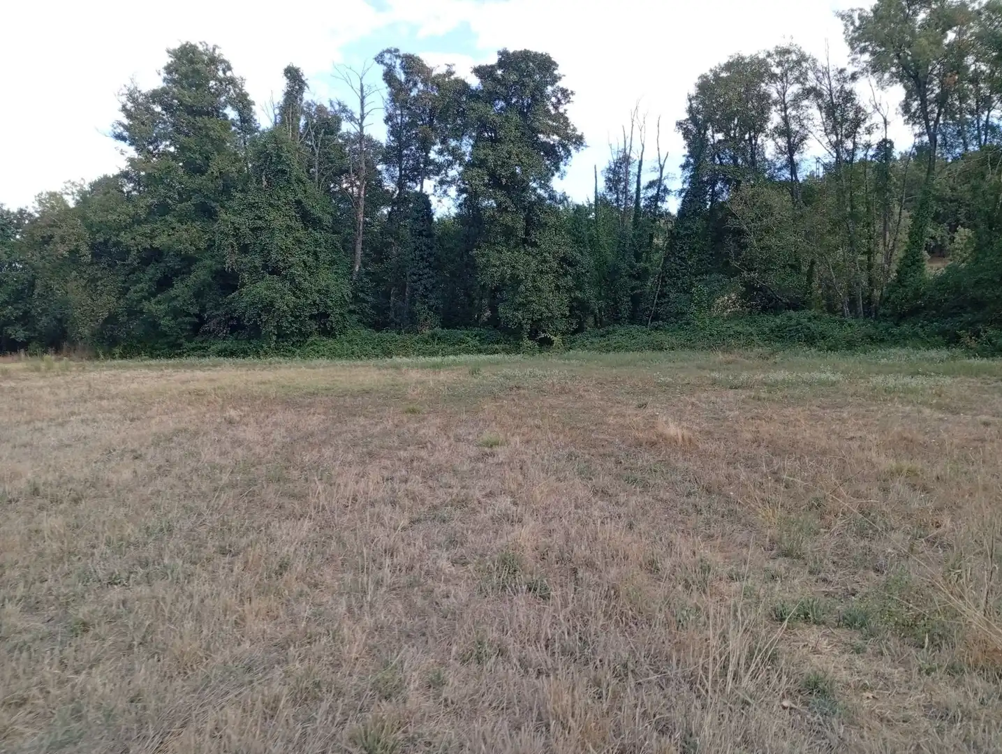 Terreni e lotti in vendita a Villanueva de la Vera, imagen 77