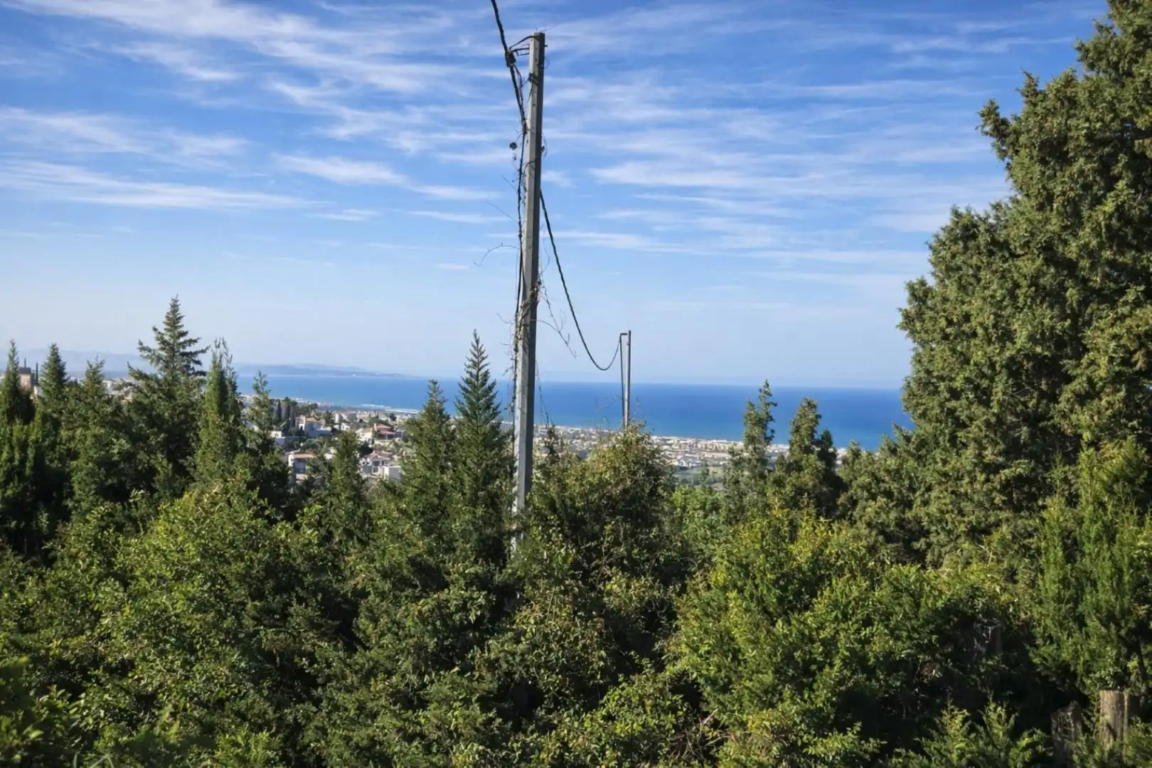 Rural land for sale in Carrer Trinquet 7, imagen 37