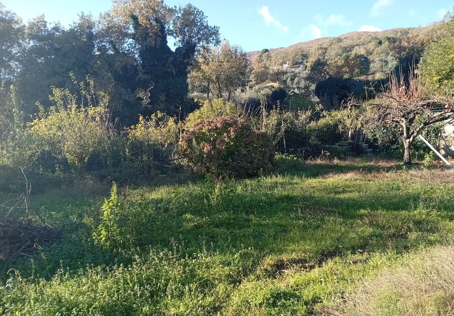 Terreni e lotti in vendita a Villanueva de la Vera, imagen 48