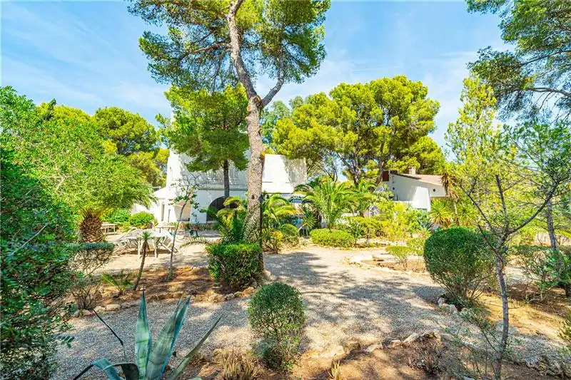 Garten von Haus oder Chalet zum Verkauf in Calvià mit Privatgarten, Terrasse und Schwimmbad