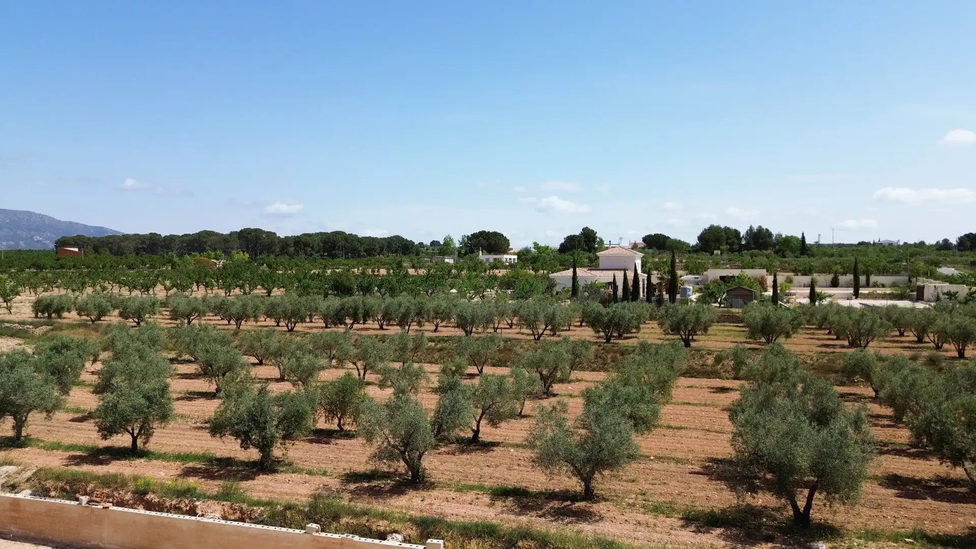 Villa à vendre à El Pinós / Pinoso, imagen 36