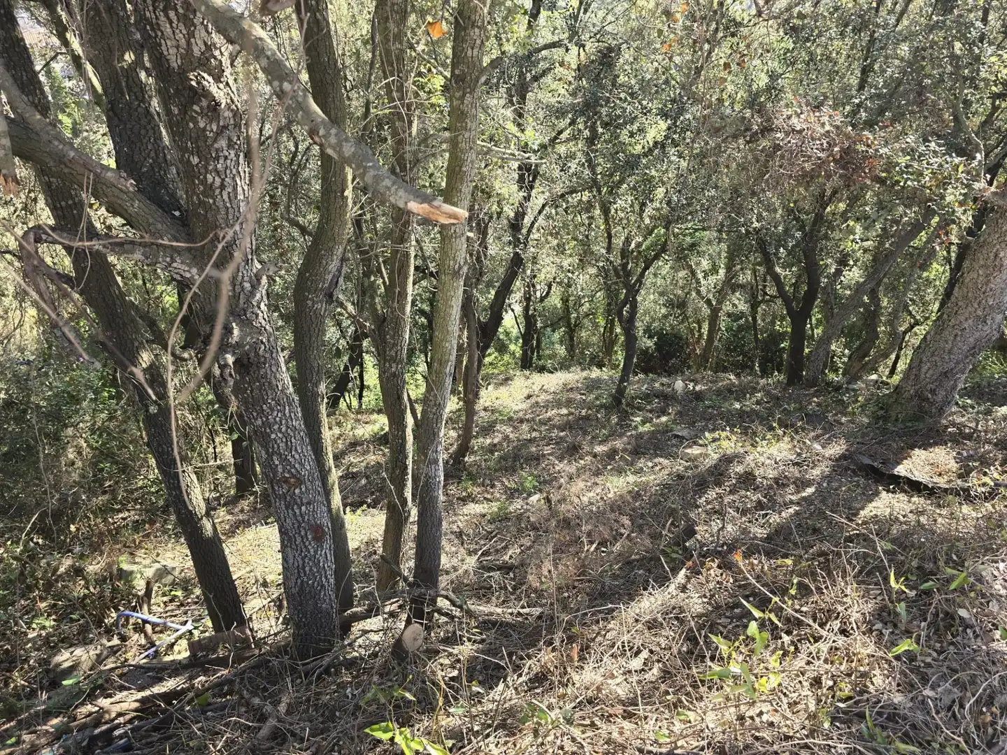 Residential land for sale in del Garrofer 7, imagen 7