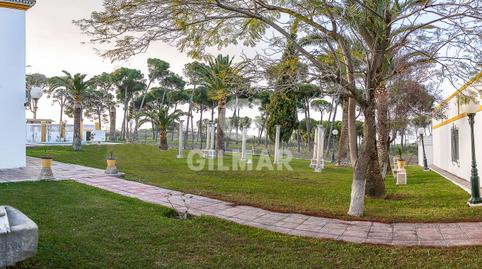 Photo 5 of Houses for sale in Marchena, Sevilla