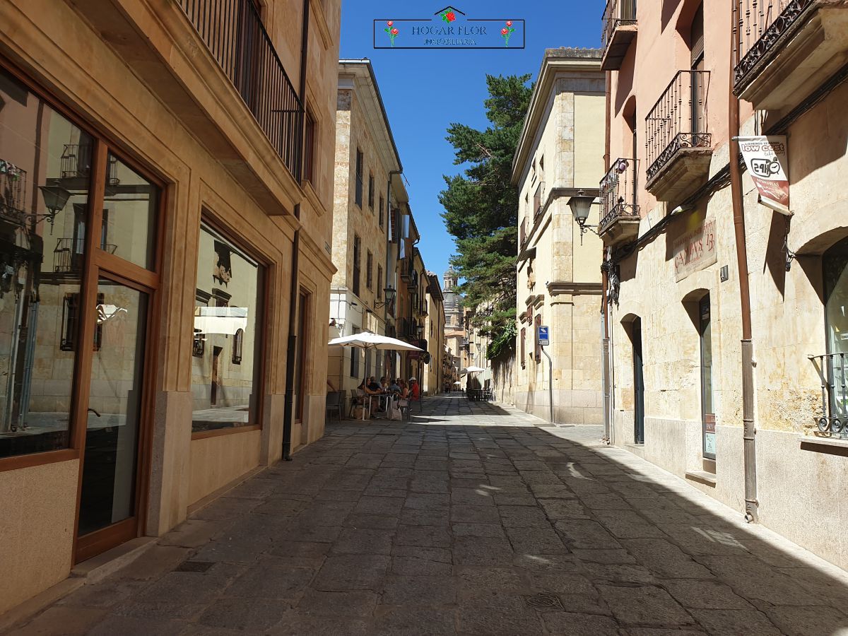 Vista exterior de Apartament en venda en Salamanca Capital amb Calefacció