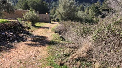 Immagine 2 dell'annuncio