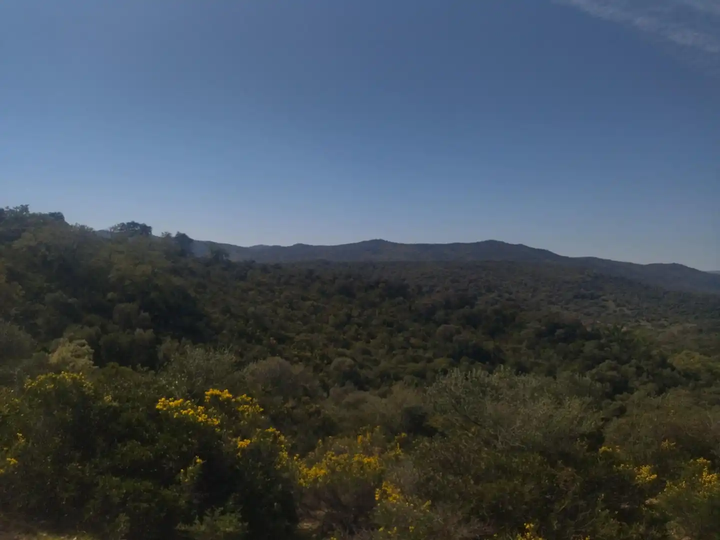 Terreno rustico in vendita a Ubrique, imagen 5