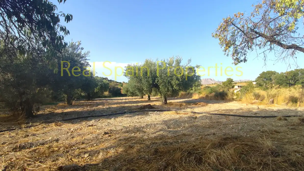 Casa rústica en venta en Vélez-Rubio, imagen 22
