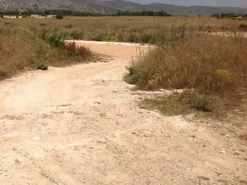 Terrain rustique à vendre à PT Parque Estratégico La Mar de Dins, imagen 8