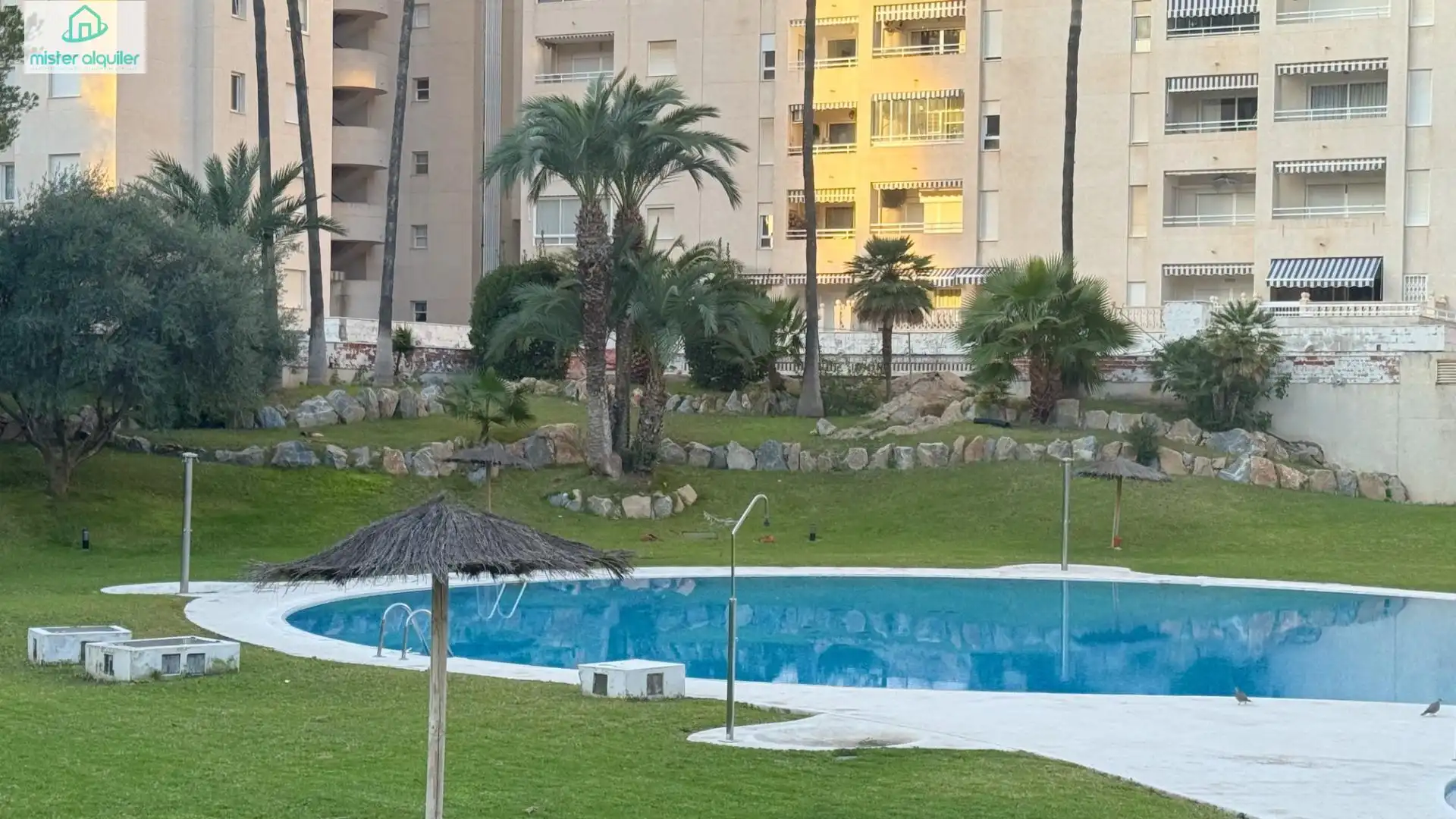 Piscina de Apartament en venda en El Campello amb Aire condicionat, Calefacció i Jardí privat
