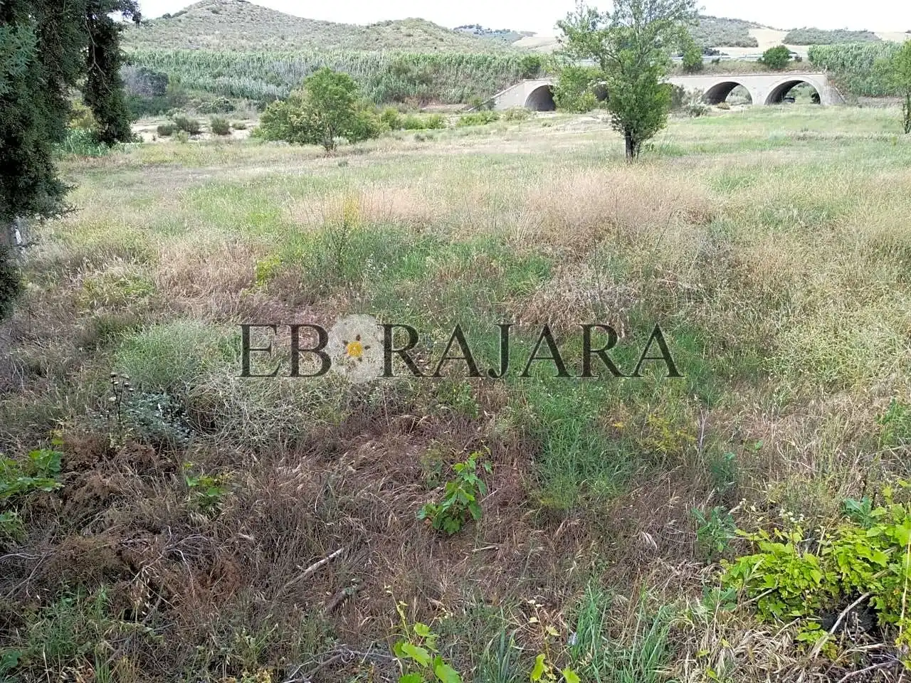 Rural land for sale in Santa Paula, imagen 6