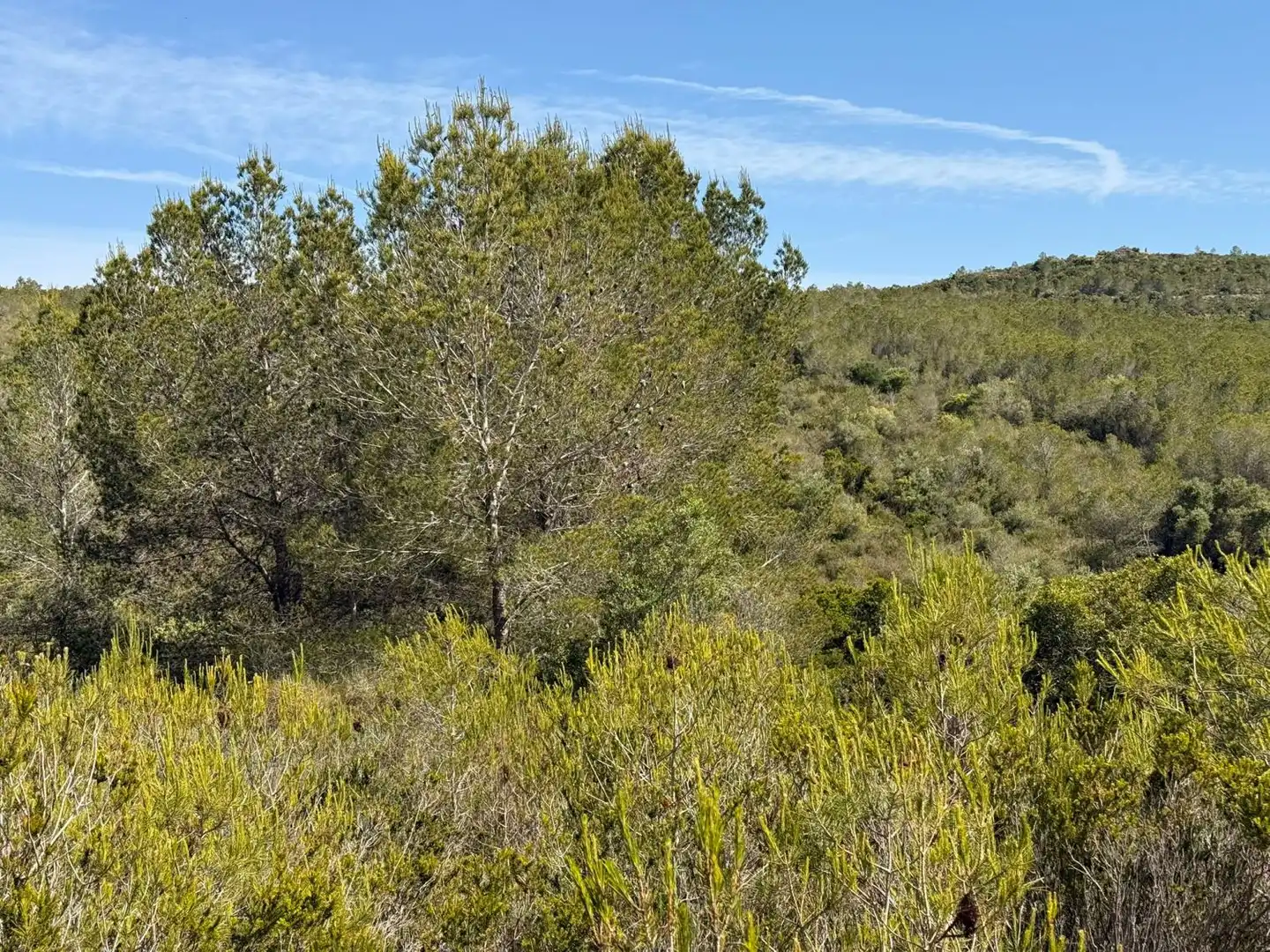 Finca rústica en venda a Vespella de Gaià
