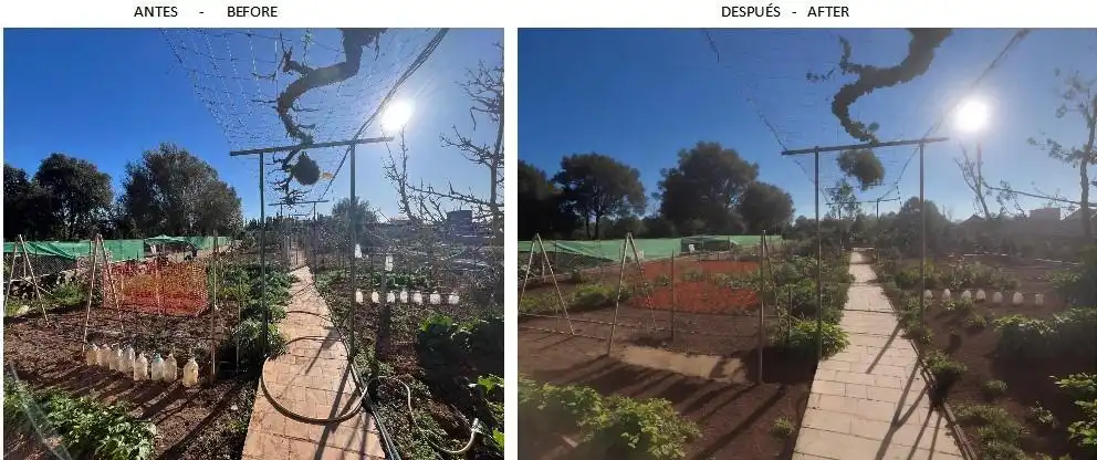 Maison avec piscine à vendre à Llucmajor pueblo, imagen 52