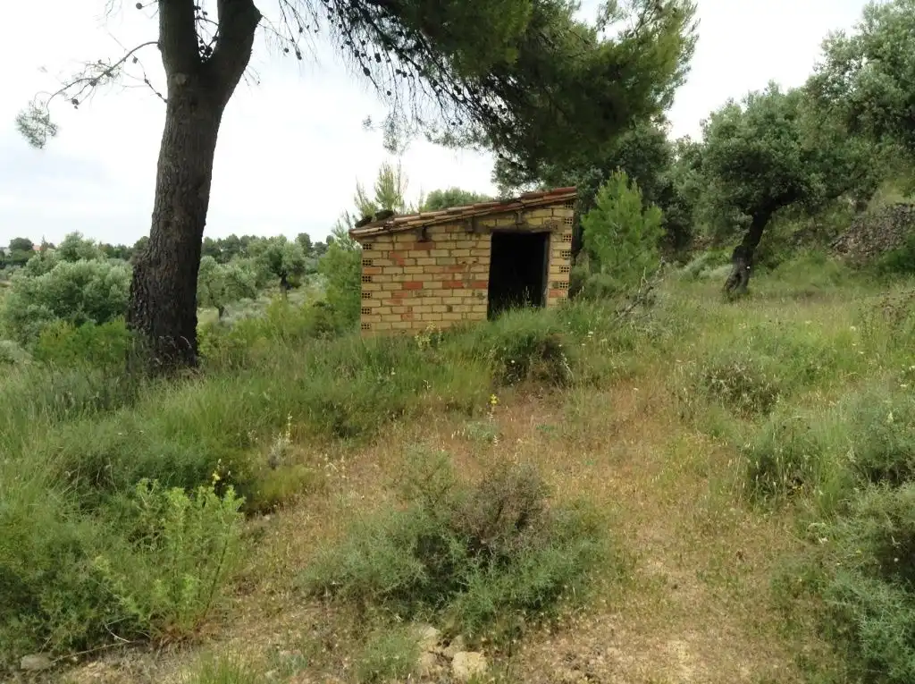 Rural land for sale in Horta de Sant Joan