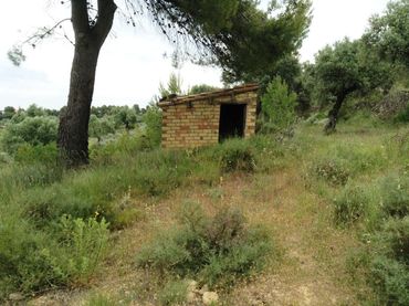 Terreny rústic en venda a Horta de Sant Joan