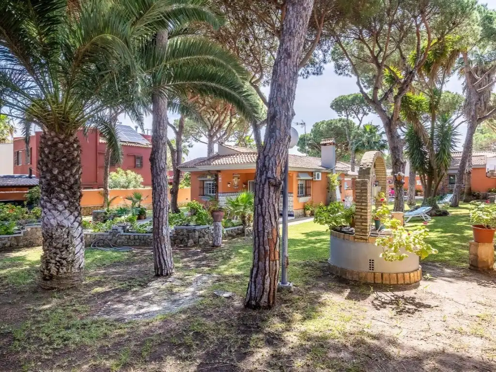 Jardí de Casa o xalet en venda en Chiclana de la Frontera amb Aire condicionat, Calefacció i Jardí privat