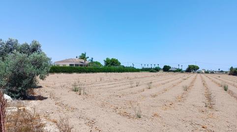 Foto 3 de Casa o xalet en venda a Dolores, Alicante