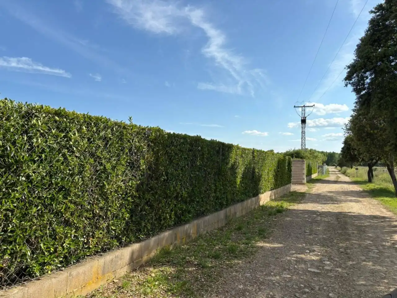 Terreno residenziale in vendita a Poligono 24, imagen 3