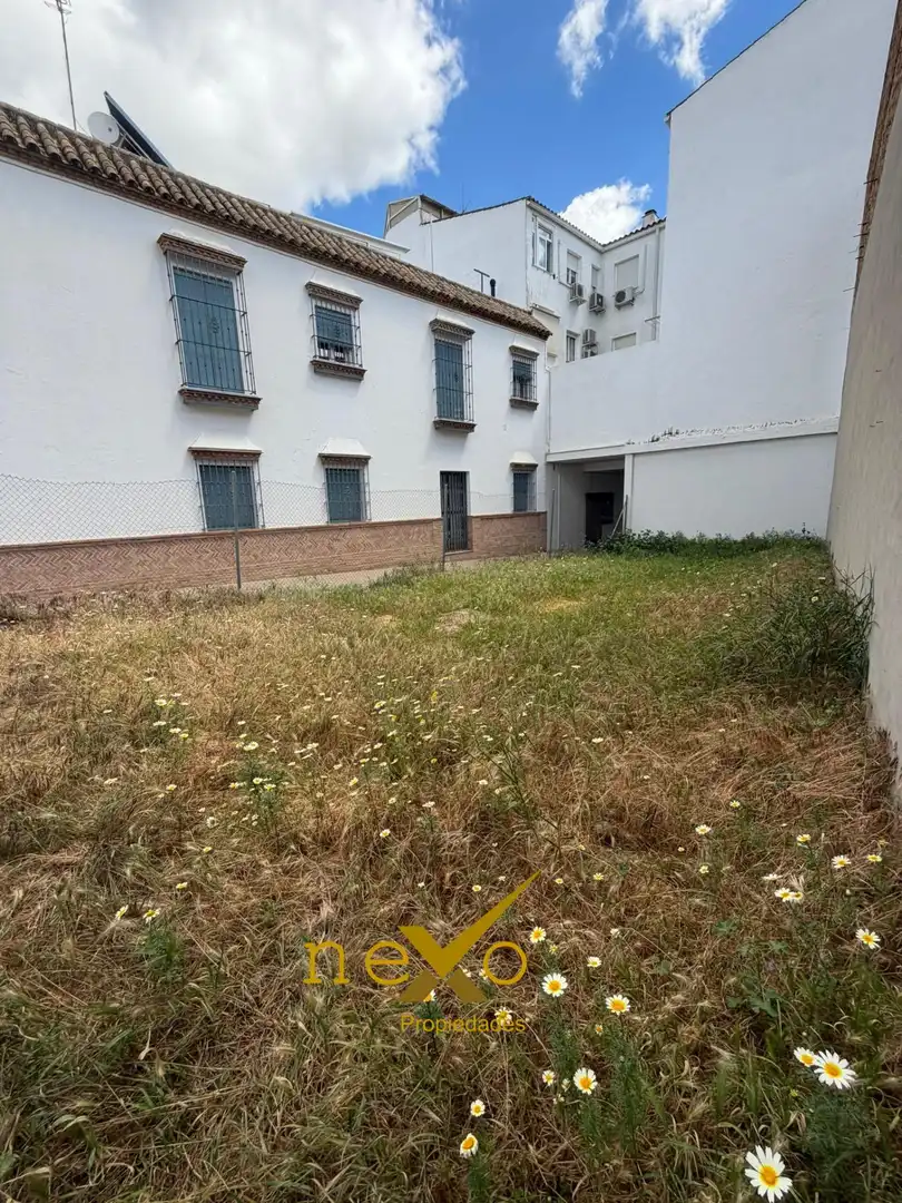 Terreni e lotti in vendita a Carmona, imagen 3