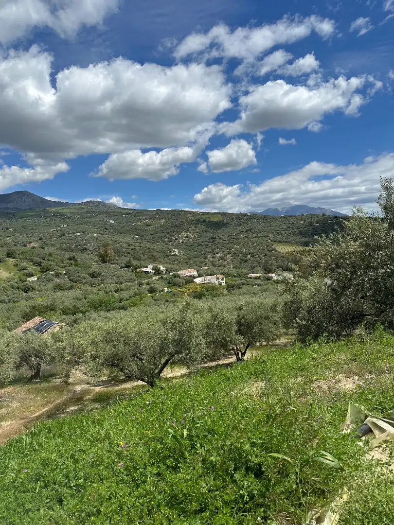 Terreni e lotti in vendita a Periana, imagen 20