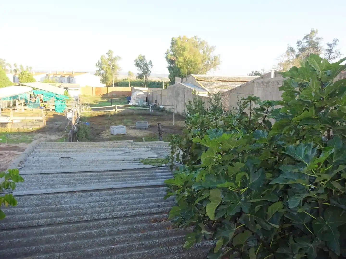 Industrial building for sale in Carretera Cr. Circunvalación CN 431, imagen 25