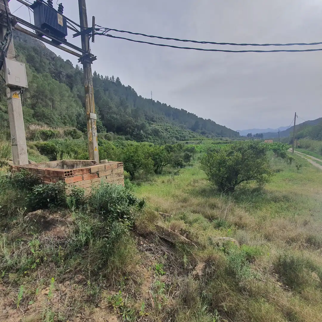 Terreno rústico en venta en Benifallet, imagen 13