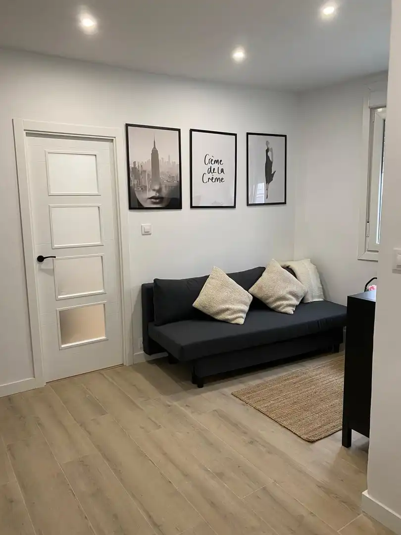 Sala d'estar de Apartament de lloguer en A Coruña Capital  amb Moblat