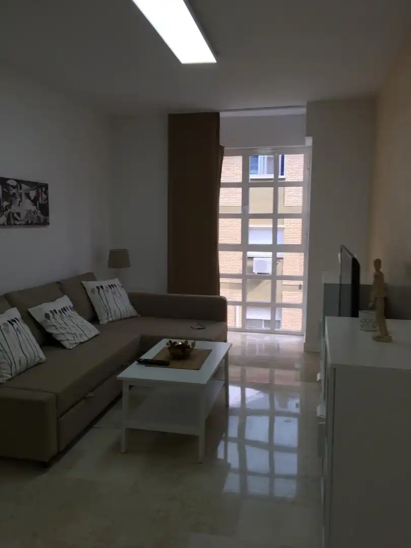 Sala de estar de Piso de alquiler en Málaga con Aire acondicionado, Amueblado y Horno