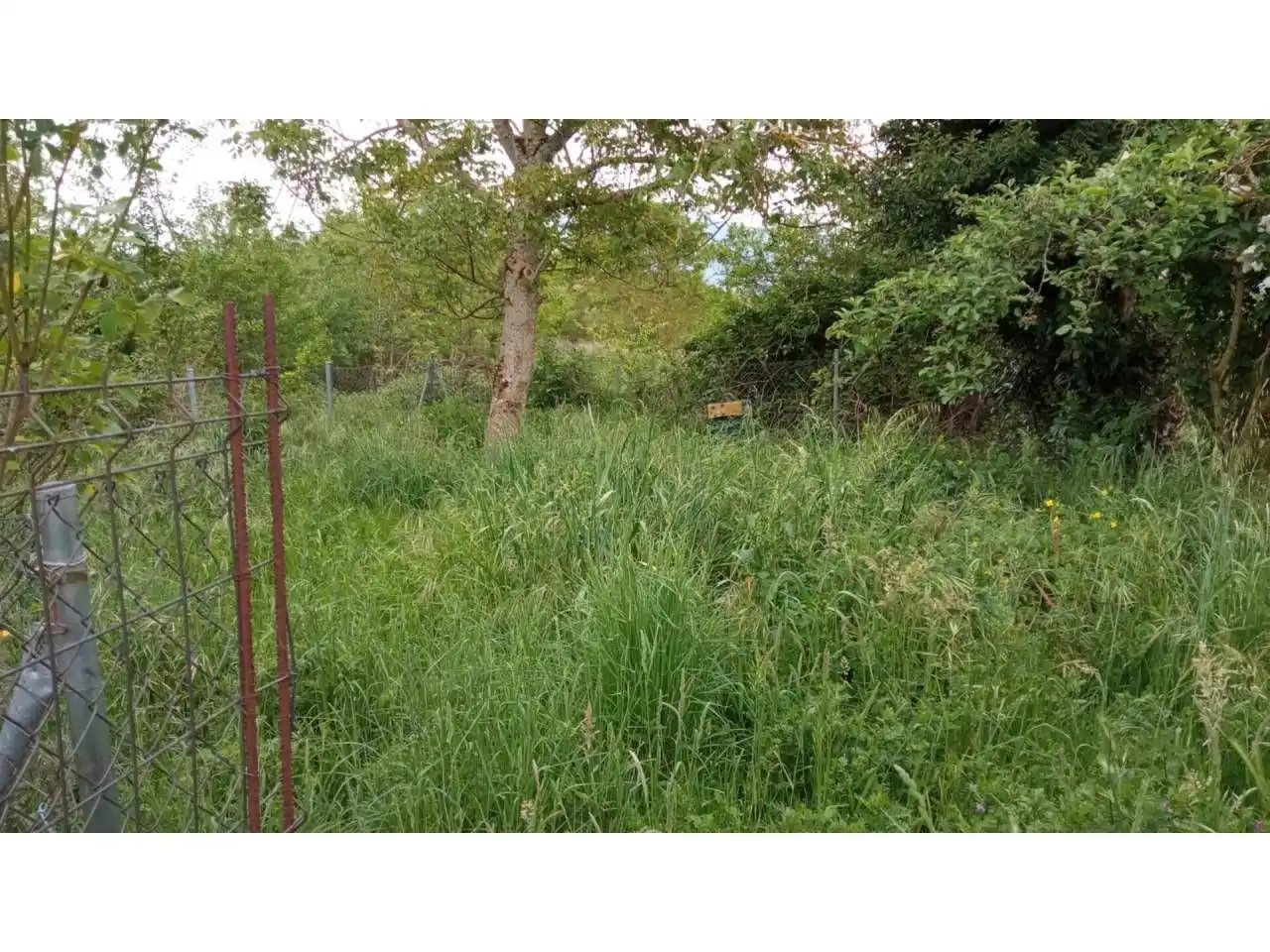 Finca rústica en venda en A Rúa 