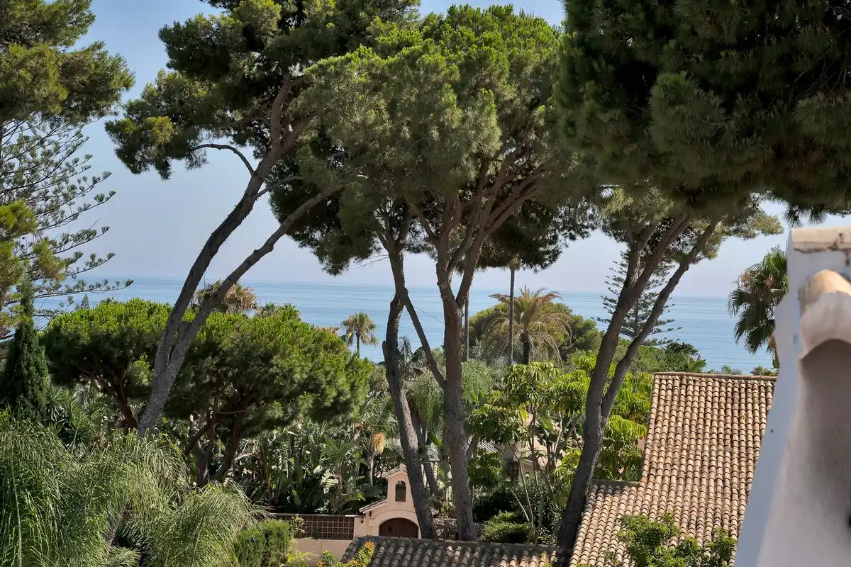 Jardí de Casa o xalet en venda en Marbella amb Aire condicionat, Calefacció i Jardí privat