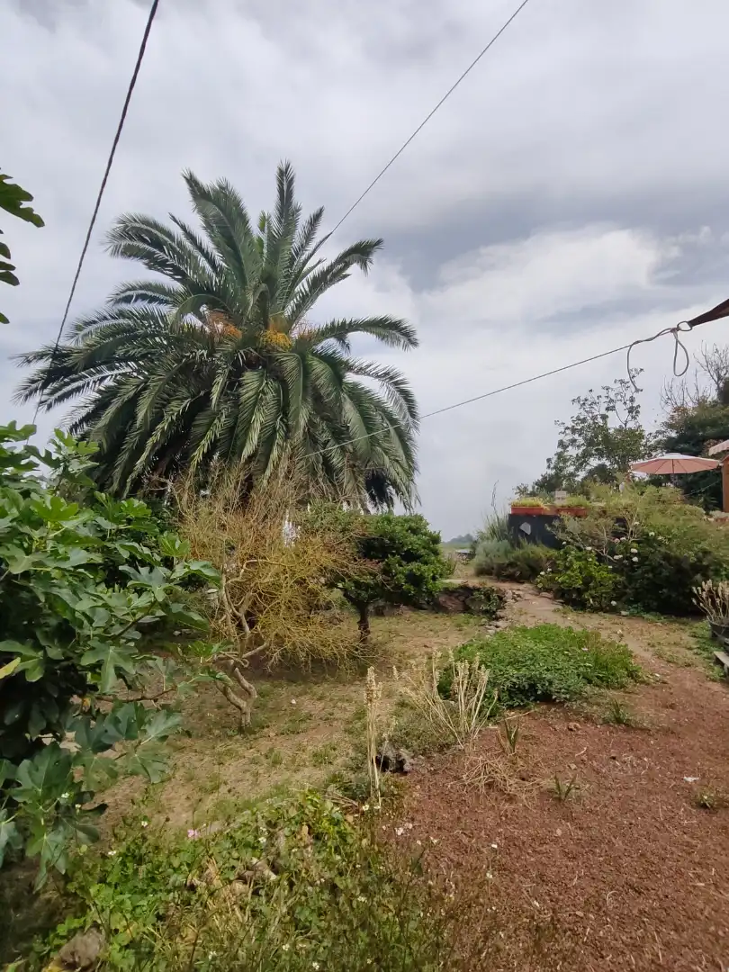 Maison rustique avec piscine à vendre à Carretera las Llanadas, imagen 44