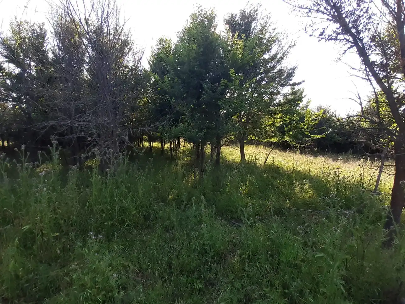 Local en venta en Pereruela